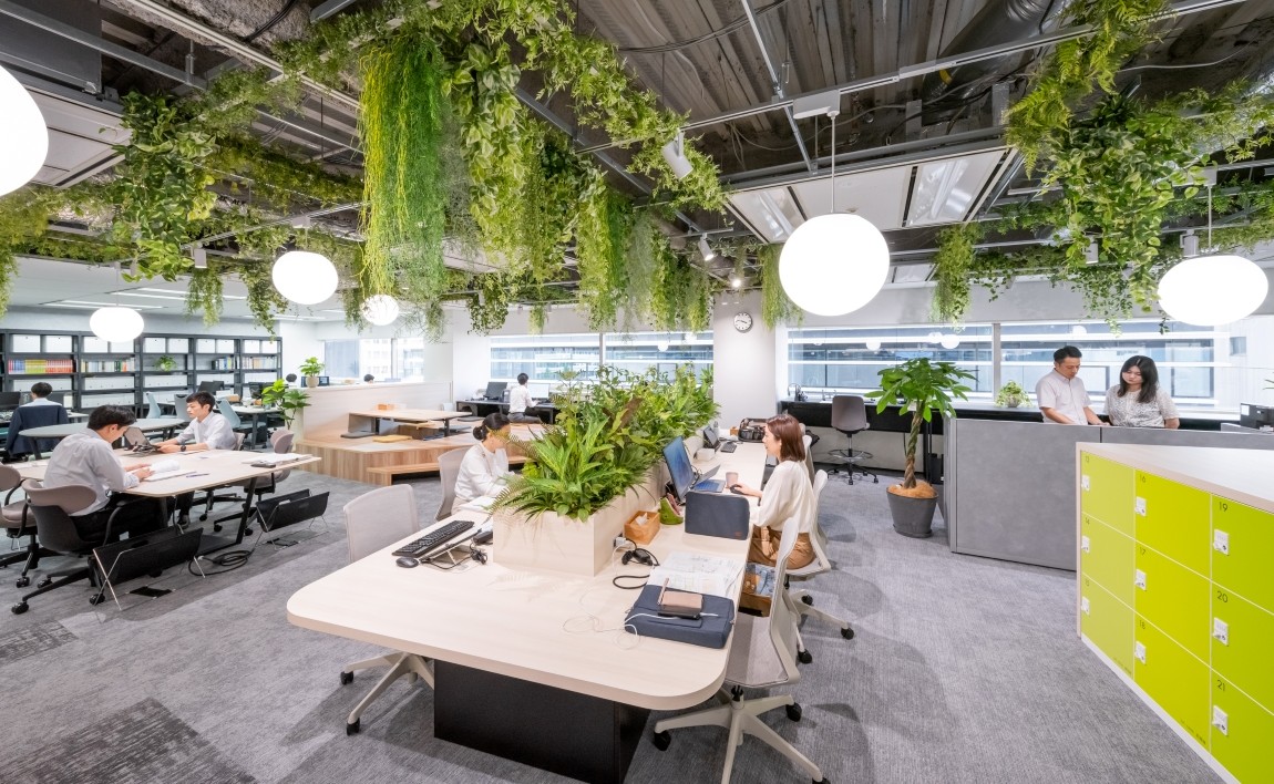 森林エリア イメージ写真